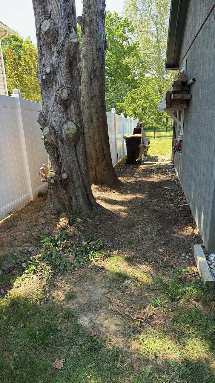 After — debris removal