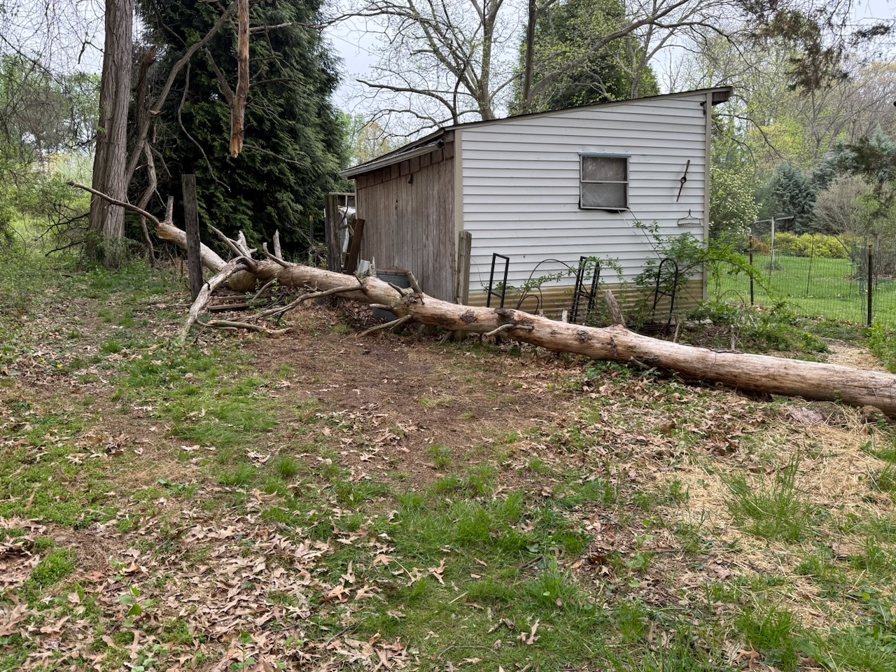 After — junk removal