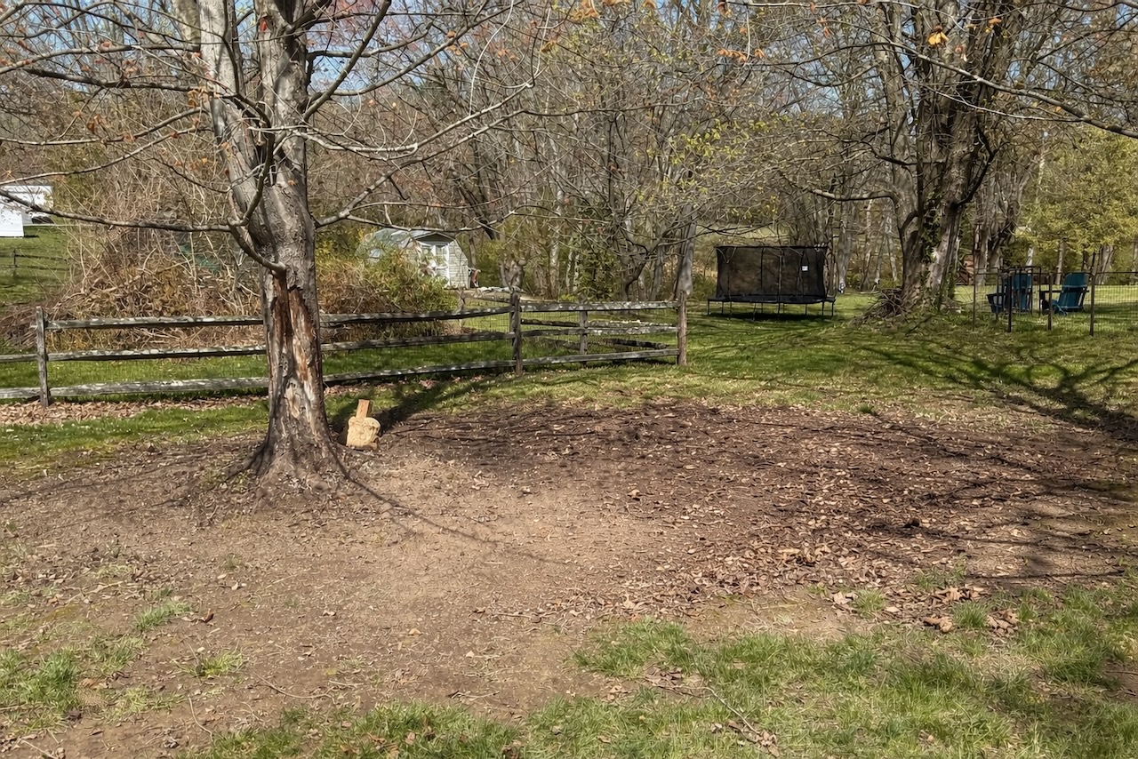 After — junk removal