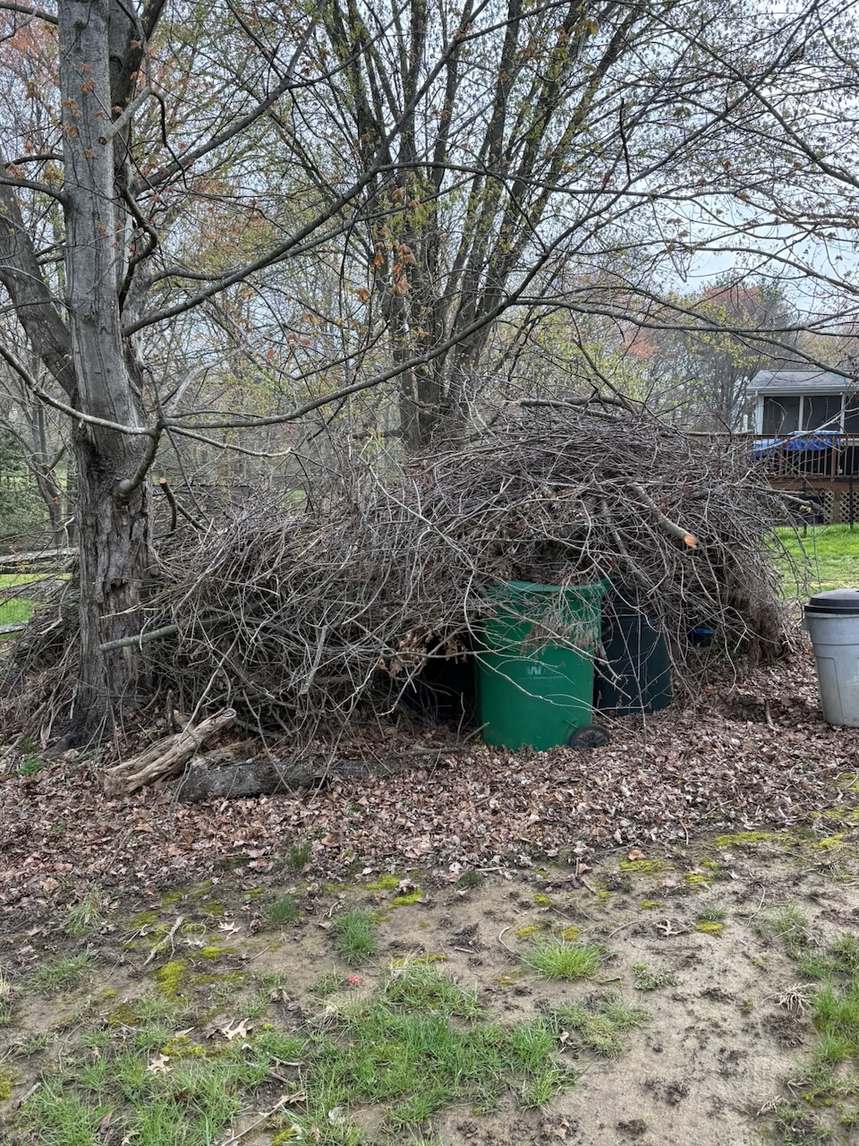 Before — junk removal
